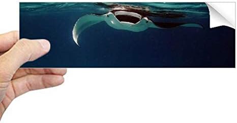 Направи си САМ Мислител Океански Лъч Скейт Наука Изображение на Природата Правоъгълник Стикер Върху Бронята на Стикер На Прозореца Лаптоп