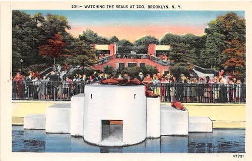 Пощенска картичка от Бруклин, Ню Йорк