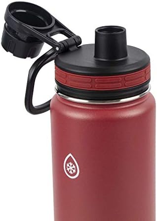 Бутилка за вода ThermoFlask с Двойни стени и Вакуум изолация от Неръждаема Стомана, 24 Унции, 2 опаковки, Фойерверки /Shadow